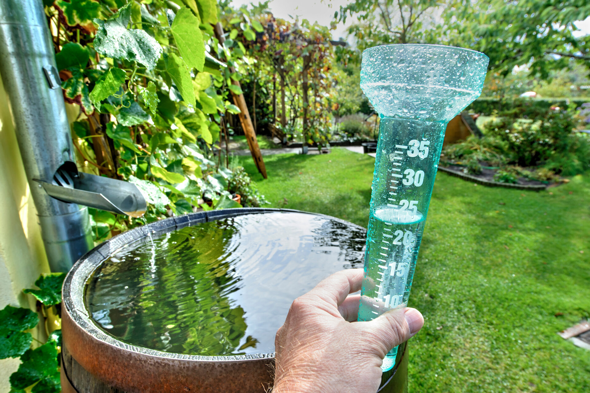 Regenwasser sammeln – Wann und wofür es sich lohnt!