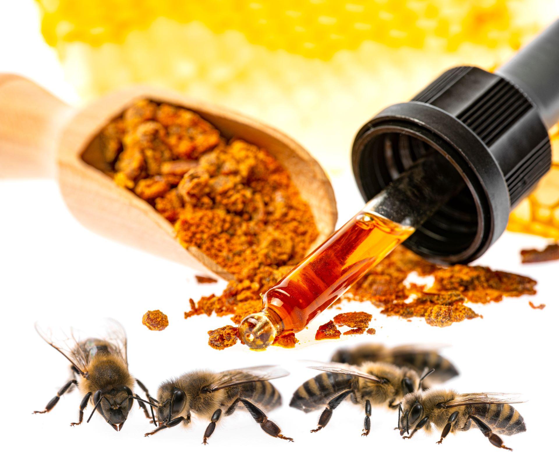 Propolis Tinktur: Was sie bewirken und wozu sie gut sind