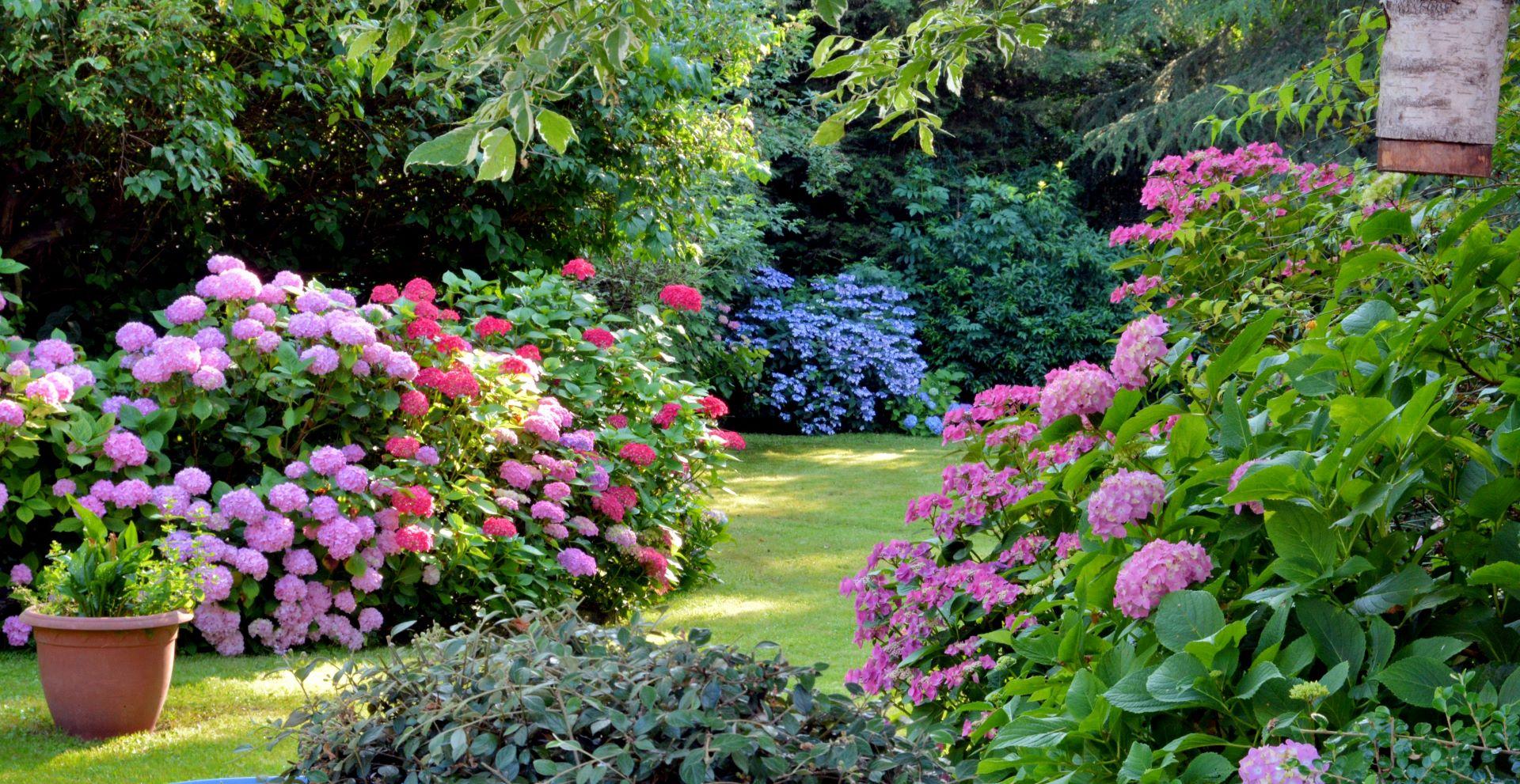 Schlauchaufroller im schönen Garten