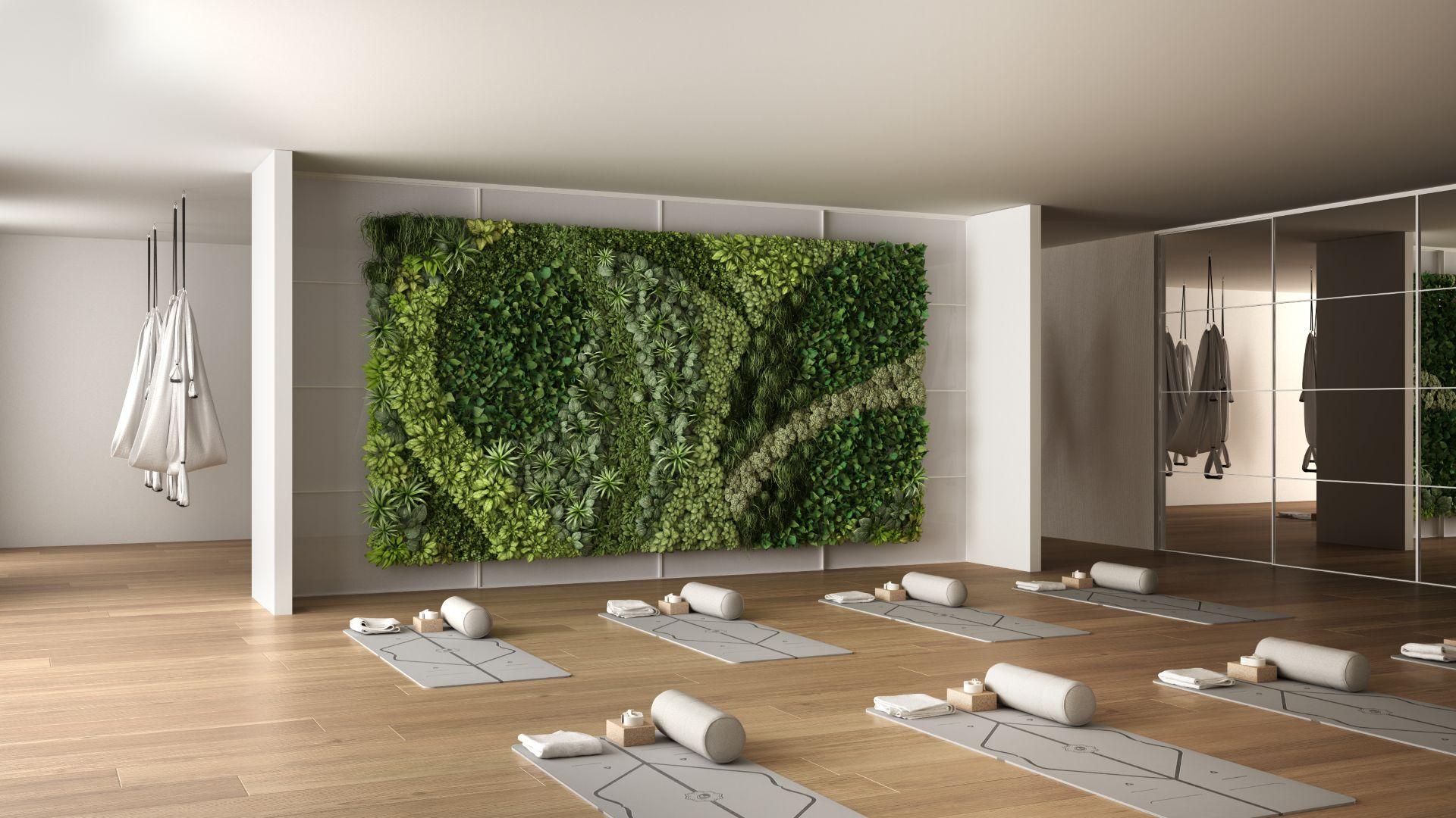 Kuenstliche Pflanzenwand in modernem Yoga-Studio mit Naturdesign und Holzboden